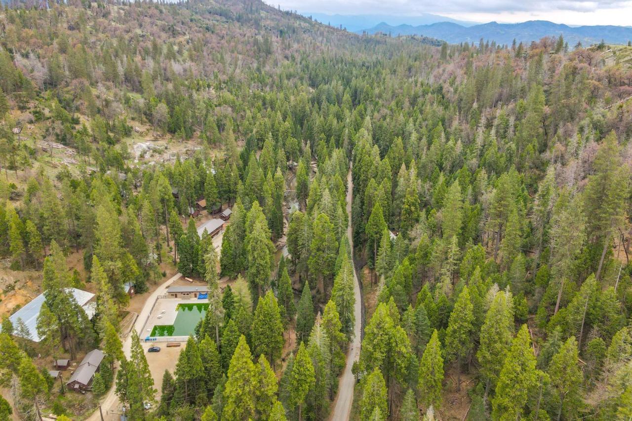 Enchanting Creekside Cabin Near Kings Canyon Park! Badger Exteriér fotografie
